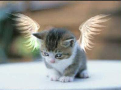 Un ange!